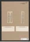 Navicula schweinfurthii Grun. (de-Toni-Nr.: Genus 1, Species 162) Zeichnungen Sammlung Grunow Nr. 472 (NHMW-BOT-W0366806)